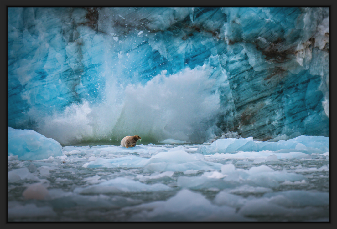 Main image SPLASH – Limited Masterpiece Edition (Acrylic Glass & Basel Frame)