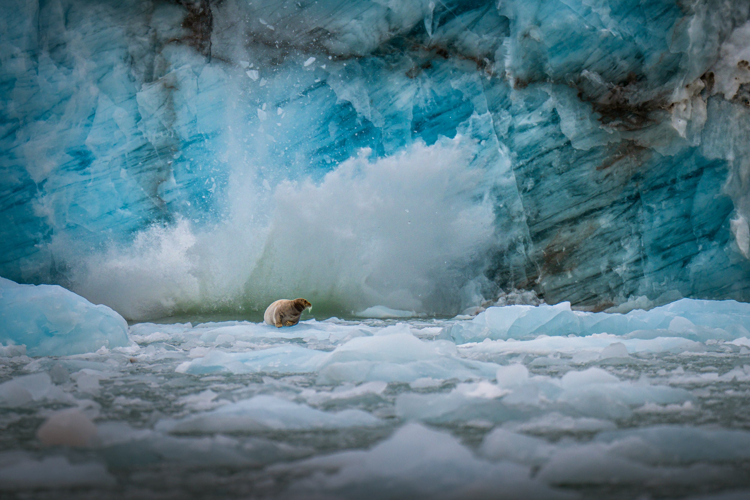 Dramatic ocean photography „SPLASH“ – Arctic sea spray and waves breaking against icebergs, cinematic wide-format print by Axel Schmidtke