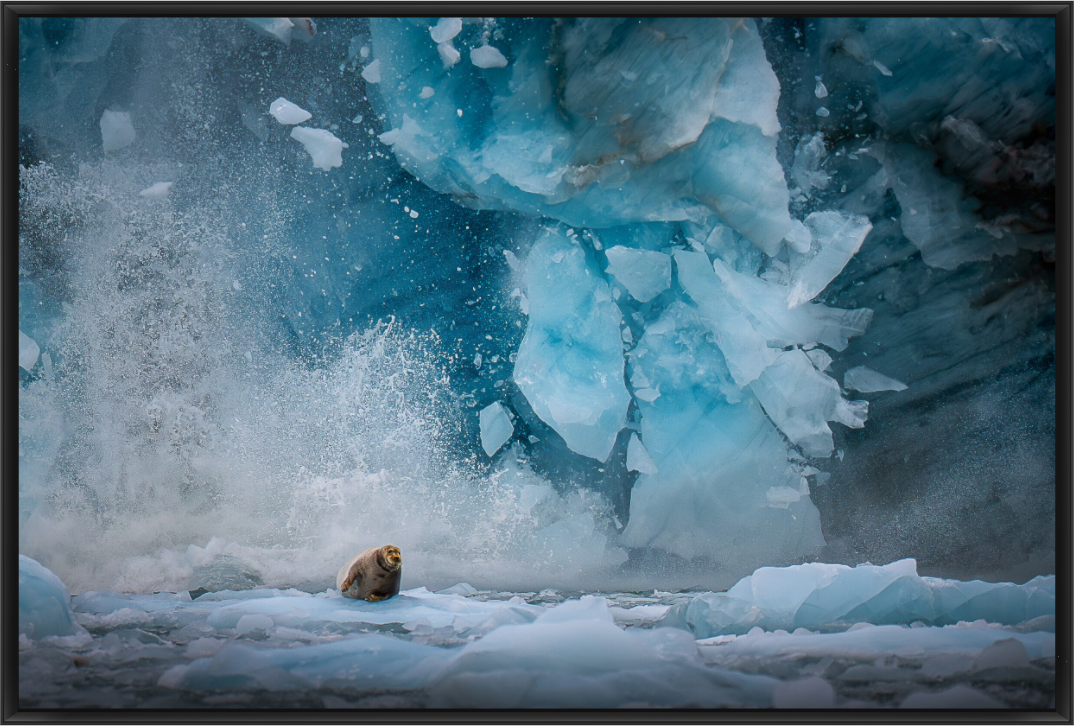 Main image CHAOS – Gallery Edition (Framed Aluminum ArtBox)